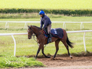 HC240925-28 - Rousham